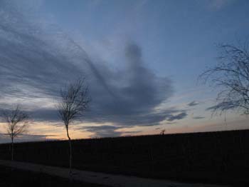 A07.IMG_5564